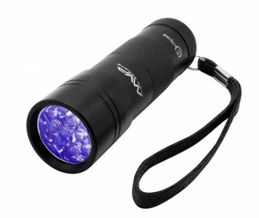 MVP UV Flashlight