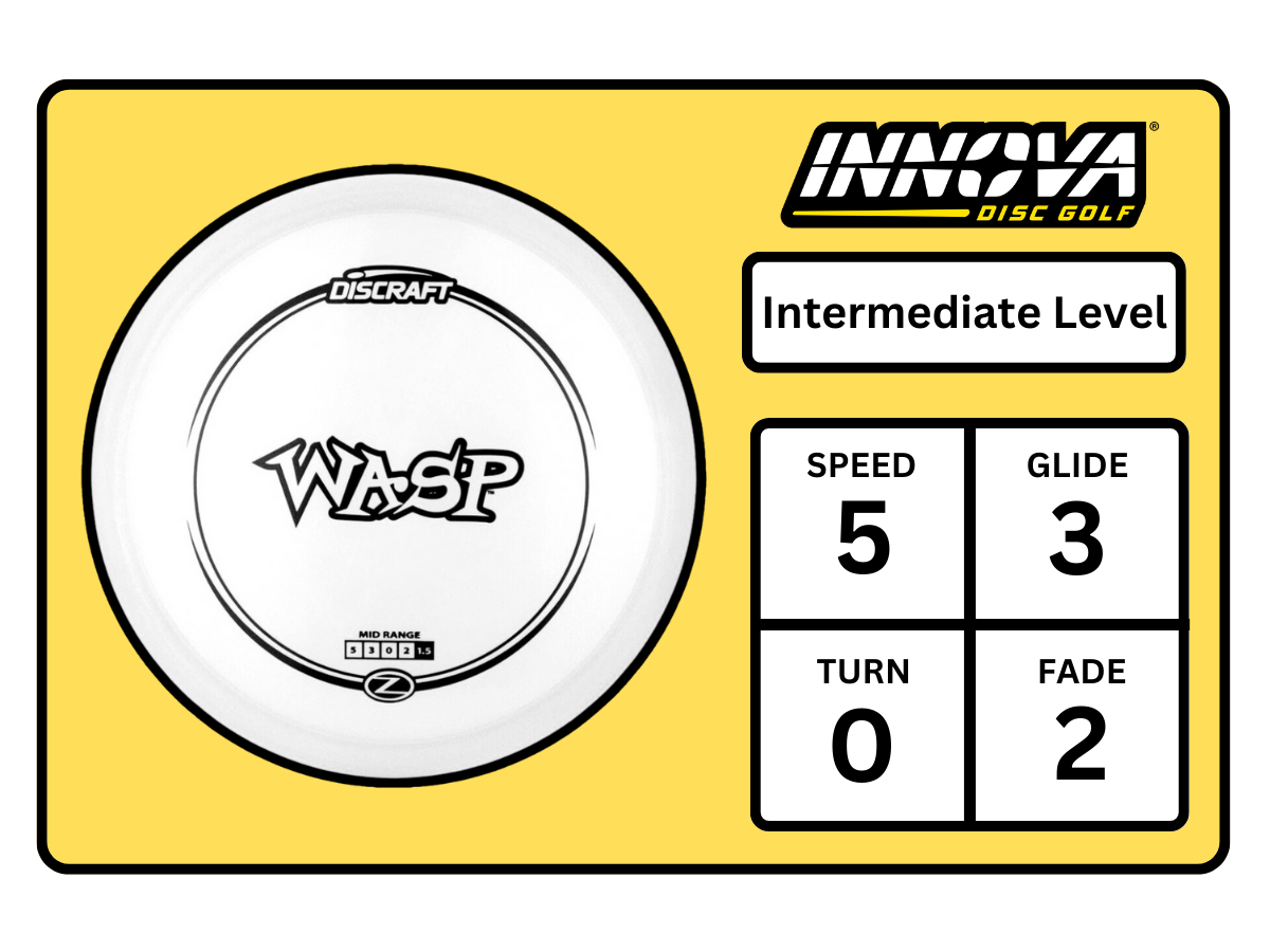 Wasp